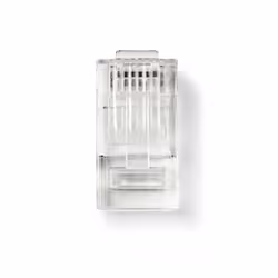 Nedis CCGP89304TP, RJ45, Transparent, Mâle, PVC, Cat6, Or