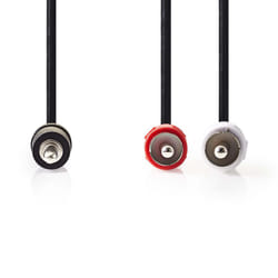 Nedis CAGB22200BK10 câble audio 1 m 3,5mm 2 x RCA Anthracite