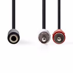 Nedis CAGB22255BK02 câble audio 0,2 m 2 x RCA 3,5mm Noir