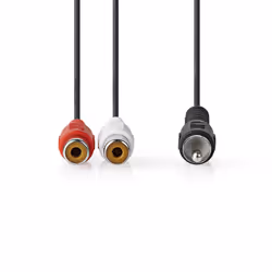 Nedis CAGB24010BK02 câble audio RCA 2 x RCA Noir