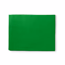 Nedis BDRP33GN Toile de fonds pour photo Vert