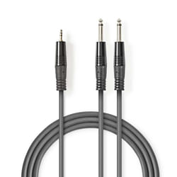 Nedis COTH23200GY30 câble audio 3 m 2 x 6,35 mm 3,5mm Gris