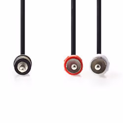 Nedis CAGB22200BK30 câble audio 3 m 3,5mm 2 x RCA Noir