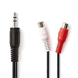 Nedis CAGT22250BK02 câble audio 0,2 m 3,5mm 2 x RCA Noir