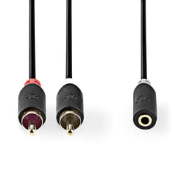 Nedis CABW22255AT10 câble audio 1 m 2 x RCA RCA Anthracite
