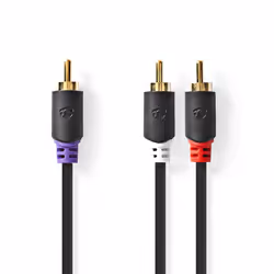 Nedis CABW24000AT30 câble audio 3 m 2 x RCA RCA Anthracite