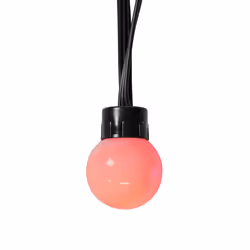 Nedis WIFILP02C48 lumière décorative Guirlande lumineuse décorative Noir 48 lampe(s) LED 5,65 W G