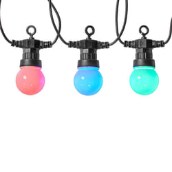 Nedis WIFILP03C10 lumière décorative Guirlande lumineuse décorative Noir 10 lampe(s) LED 3,08 W G