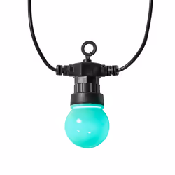 Nedis WIFILP03C10 lumière décorative Guirlande lumineuse décorative Noir 10 lampe(s) LED 3,08 W G