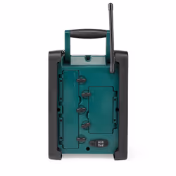 Nedis RDDB3100GN Radio portable Analogique et numérique Noir, Vert