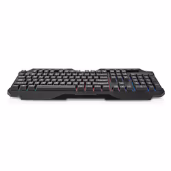 Nedis GKBD110BKUS clavier USB QWERTY US International Noir