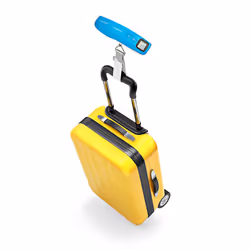 Nedis SCLU112BU pèse-bagage 50 kg Électronique - Vue supplémentaire 9