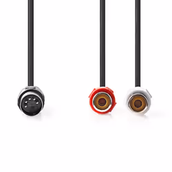 Nedis CAGL20250BK02 câble audio 0,2 m DIN (5-pin) 2 x RCA Noir