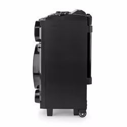 Nedis SPPT800BK haut-parleur 3-voies Noir Sans fil 40 W