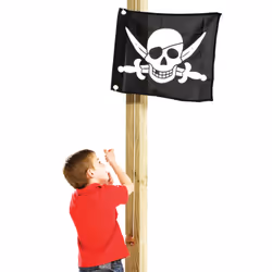 AXI Drapeau Pirate