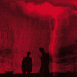 ImportCDs Love Hates What You Become CD Pop rock
