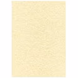 DECAdry T105077, 50 feuilles