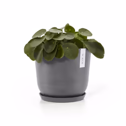 Ecopots Saucer Round Support de pots à roulettes
