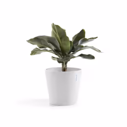 Ecopots Amsterdam, Blanc, Plastique, 40 cm, 250 mm, 3,9 kg, 1 pièce(s)