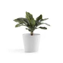 Ecopots Amsterdam Blanc Plastique 1 pièce(s)