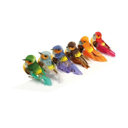 6 OISEAUX COULEUR SUR PINCE - 8X35X35 CM