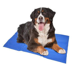 Tapis pour chien rafraîchissant Duvoplus XL