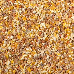 Grains d’élevage pour poussin et caille miette Duvoplus 20 kg
