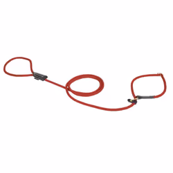 Laisse de dressage pour chien en nylon Duvoplus Explor Forest