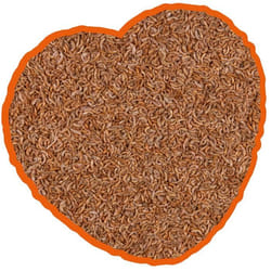 Nourriture pour tortues gammares Duvoplus - 220 ml