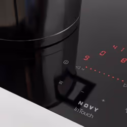 NOVY 1752/02 Noir Intégré Plaque avec zone à induction 3 zone(s)