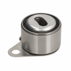 Galet tendeur, courroie de distribution GATES PowerGrip™ T41157