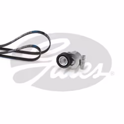 Jeu de courroies trapézoïdales à nervures GATES K036PK1305