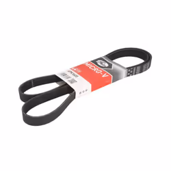 Courroie trapézoïdale à nervures GATES 6PK1605