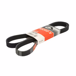 Courroie trapézoïdale à nervures GATES 6PK1555