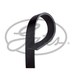 Courroie trapézoïdale à nervures GATES 7PK1753HD