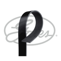 Courroie trapézoïdale à nervures GATES 10PK1163AHD