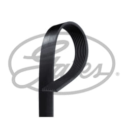 Courroie trapézoïdale à nervures GATES 8PK1460HD