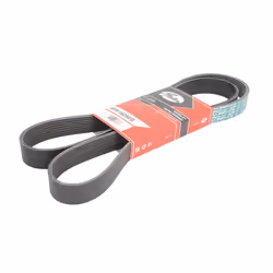 Courroie trapézoïdale à nervures GATES 8PK1625ES