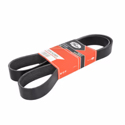 Courroie trapézoïdale à nervures GATES 10PK1620ES