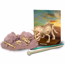 DAM Deterre Ton Dinosaure - Tricératops