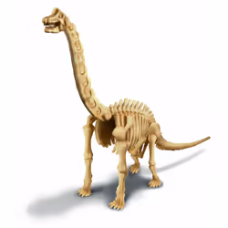 DAM Déterre Ton Dinosaure - Brachiosaure - Vue supplémentaire 4