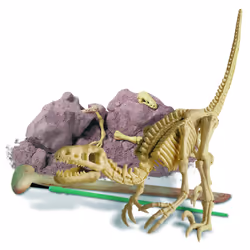 DAM Déterre Ton Dinosaure - Vélociraptor, 8 an(s), Multicolore