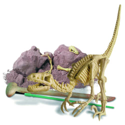 DAM Déterre Ton Dinosaure - Vélociraptor