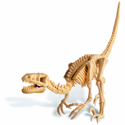 DAM Déterre Ton Dinosaure - Vélociraptor