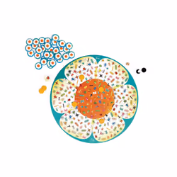 DAM Jeu De Recherche – Bugs Buzz