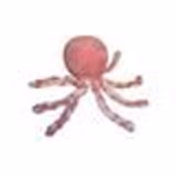 Doudou Nattou Lapidou octopus Pieuvre Poulpe Musical Rose Corail
