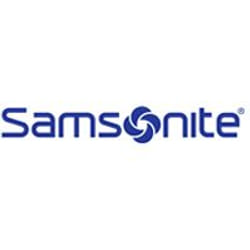 Samsonite Guardit 17.3" Sac à dos Bleu