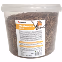 Vers de farine séchés PickNick. seau de 540 gr Aliment complémentaire pour oiseaux vivant en liberté. Pas pour la consommatio ...