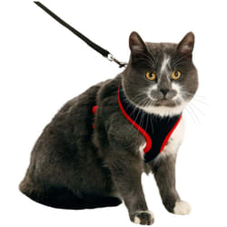 Flamingo - Harnais pour chat, couleur noir et rouge, taille m, réglable