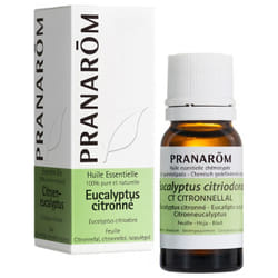 Pranarôm Huile Essentielle Eucalyptus Citronné (Eucalyptus citriodora) 10 ml